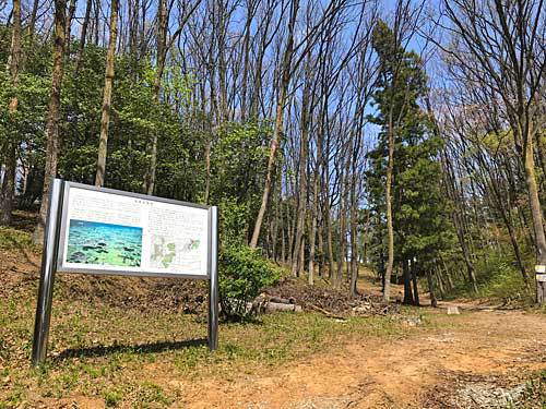 末寺山古墳群 末寺山古墳群