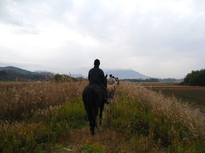 お馬さんが桜川沿いを行きます