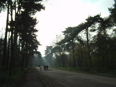 11月30日(日) ブローニュの森 Bois de Boulogne