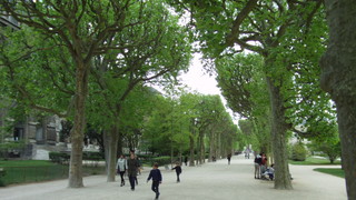 4月29日(水)　パリ植物園