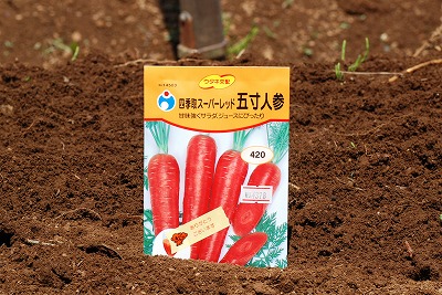 芽かき、そして間引き