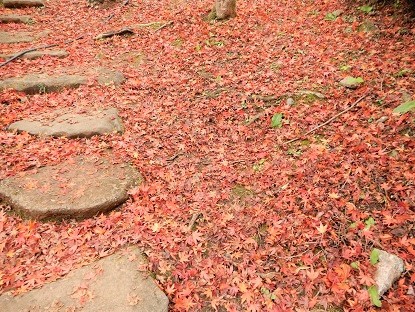 令和元年 2019年秋の 筑波山神社付近の紅葉