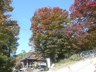 筑波山神社　紅葉の様子