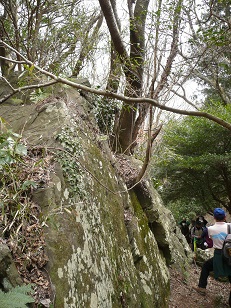 愛宕山・難台山ハイキングモニターツアーに参加しました