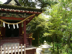 ホシザキユキノシタが咲き始めた初夏の筑波山神社