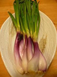 (13) 茨城の食材でタイ風おつまみ!