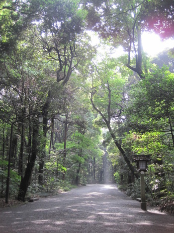明治神宮