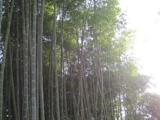 和