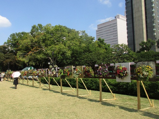 東京日比谷公園でガーデニングショーが開催されています。帰りは丸ブラを楽しみたいものです！