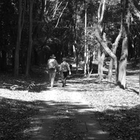 つくば公園通り