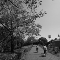 二宮公園付近