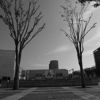 つくばセンタービルを望む