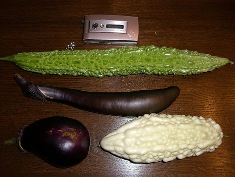 ψ 家庭菜園検定