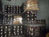 原料芋の保管倉庫