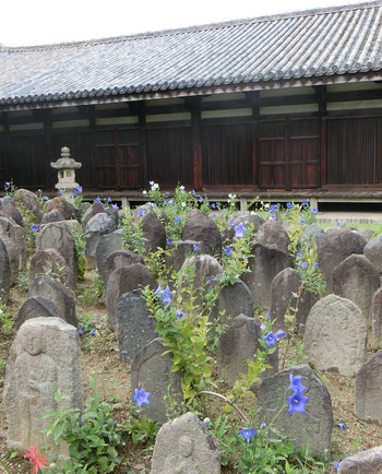 古の奈良　１３　ならまちの古い新名所　元興寺