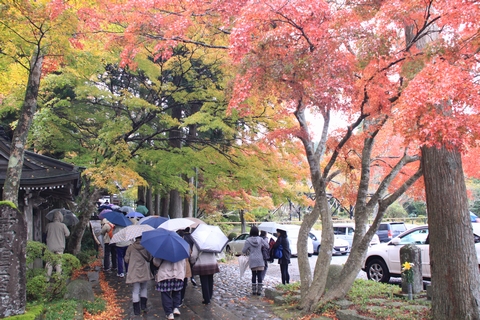 バスツアー「紅葉の苔庭と箱根の秋・箱根ホテルのランチ」その１