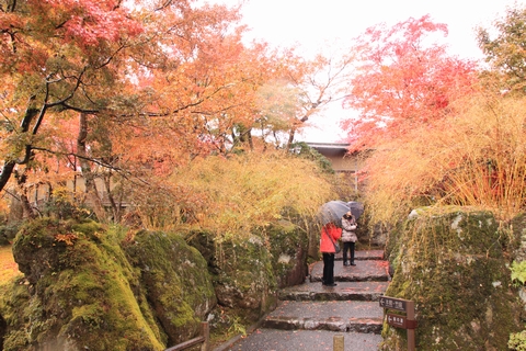 バスツアー「紅葉の苔庭と箱根の秋・箱根ホテルのランチ」その２