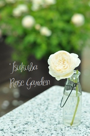 Rose Garden TSUKUBA