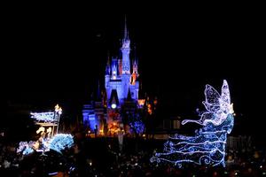 Disney wedding♡ Disney wedding♡