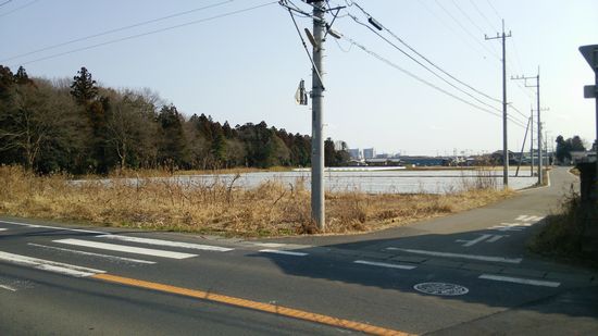 研究学園 平塚線の2車線化準備は確実に進んでるかも 研究学園 平塚線の2車線化準備は確実に進んでるかも