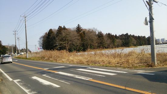 研究学園 平塚線の2車線化準備は確実に進んでるかも 研究学園 平塚線の2車線化準備は確実に進んでるかも