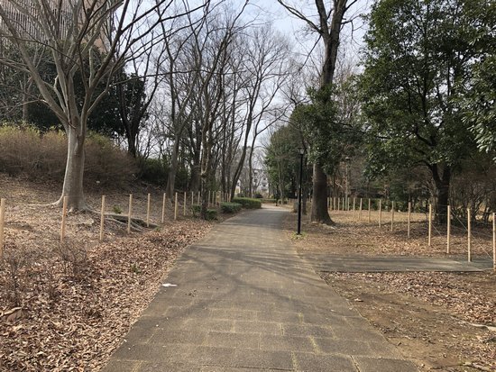 つくば市 吾妻2丁目住宅が閉鎖されている! つくば市 吾妻2丁目住宅が閉鎖されている!