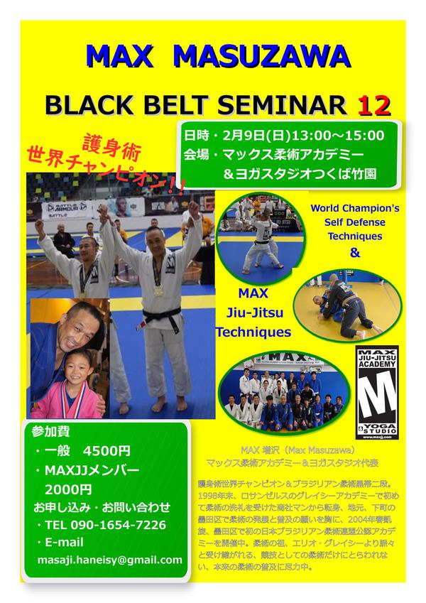 Max Masuzawa Black Belt seminar 12