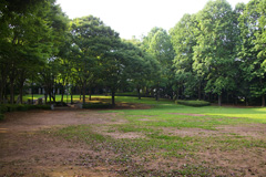 吾妻公園
