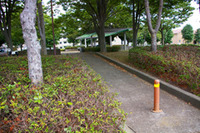 小野崎児童公園