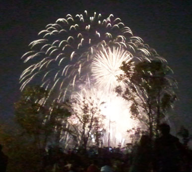 ２０１１年１０月のソウルの花火festival