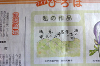 「桜川のサクラ」のあらたなコピー誕生!?…｢西の吉野、東の高峯」