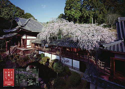 今年は「十輪寺」…「そうだ 京都、行こう。」キャンペーン20周年