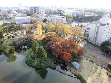 松見公園展望塔から紅葉を眺める！