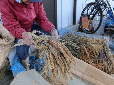 小田地区の魅力を発見~♪ 小田地区の魅力を発見~♪