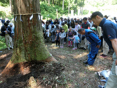 何度味わっても感動…伐採体験☆ 何度味わっても感動…伐採体験☆
