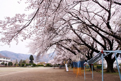 去年の今日の桜@有海老沢写真館さん