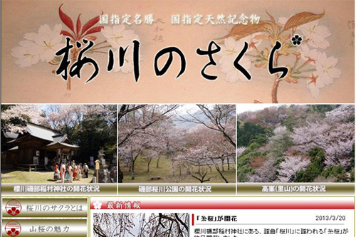『桜川のサクラ公式サイト』オープン!!
