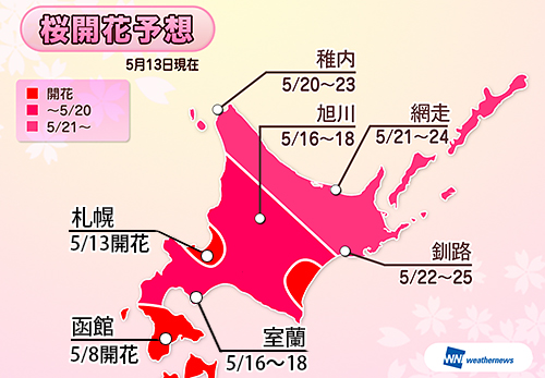 サクラ前線北海道上陸!!