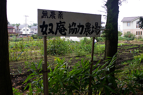 そばの里 奴庵さんの農場
