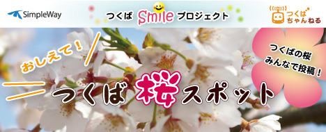 つくば桜スポット2011