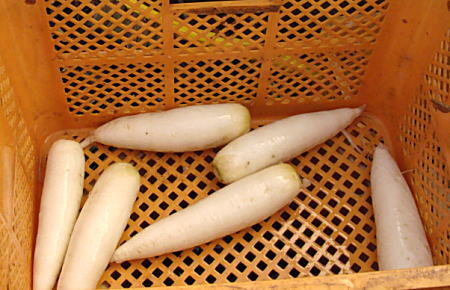 おじいちゃんが洗ってます