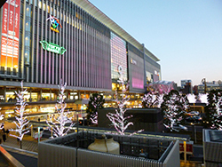 博多出張1日目 (元祖 博多だるま 博多デイトス店) 博多出張1日目 (元祖 博多だるま 博多デイトス店)