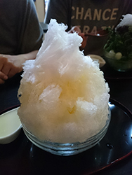 茶の木村園 (かき氷)
