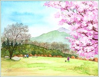 石岡フラワーパークの一本桜
