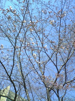通学路