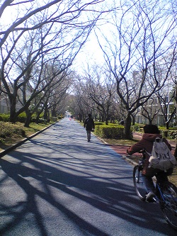 通学路