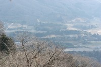 厳冬の山桜の里☆平沢地区高峰山