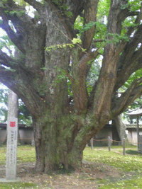 西念寺 笠間