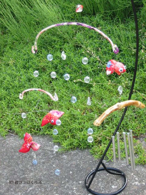 今年の金魚