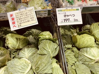 キャベツが高い❗️200円400円、1000円 キャベツが高い❗️200円400円、1000円